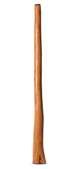 Natural Finish Flared Didgeridoo (TW1811)